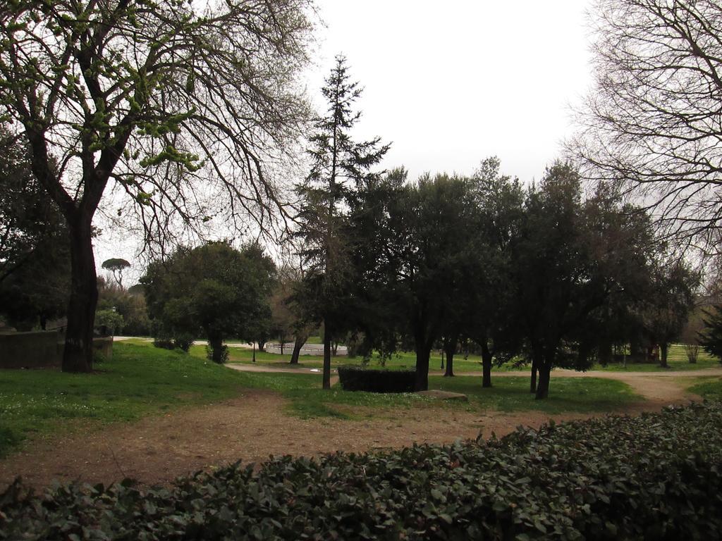 Lazio Elegance 2*